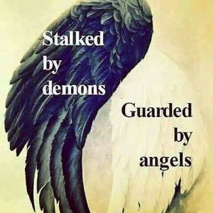 Meet your Posher, Jessie